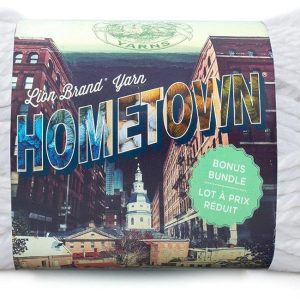 Lion Brand Yarn Hometown Bonus Bundle Yarn, New York White, 1 Pack